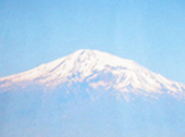 ararat